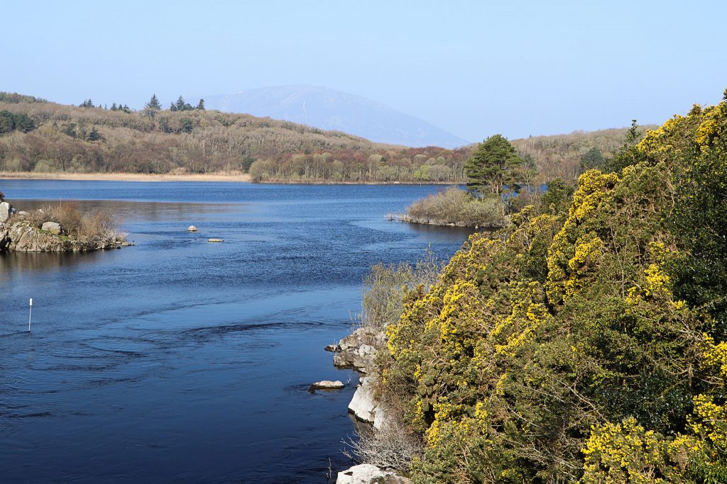 what to see in county mayo
3